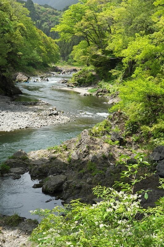 DSC02990a.jpg