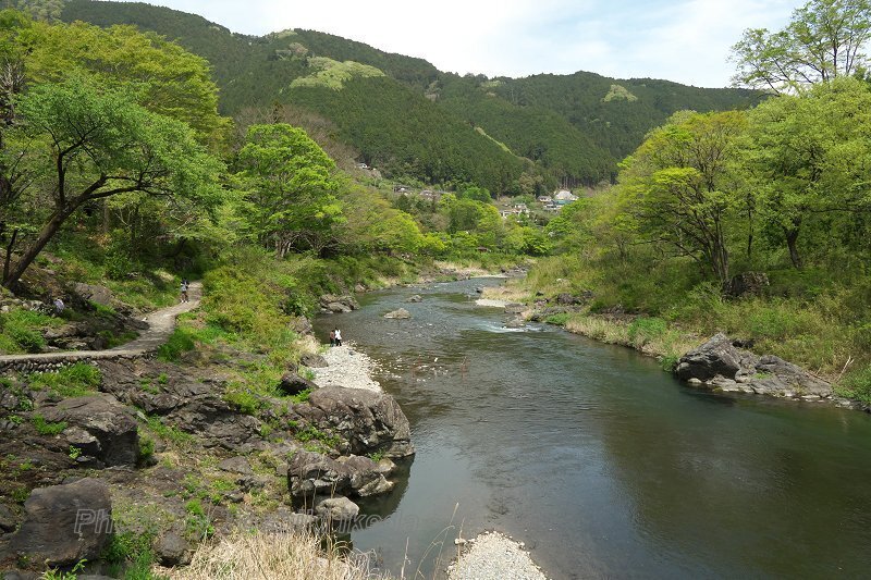 DSC03000a.jpg