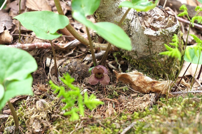 DSC03919a.jpg